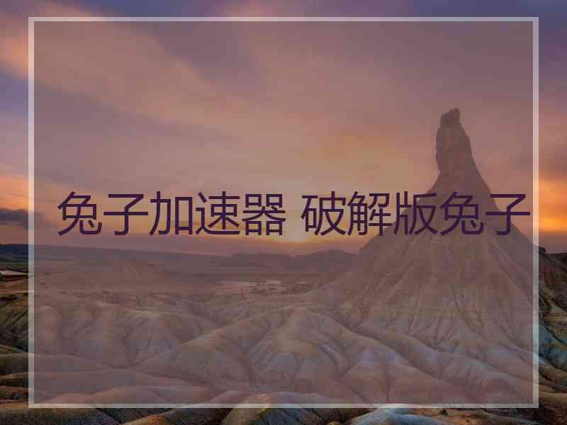 兔子加速器 破解版兔子