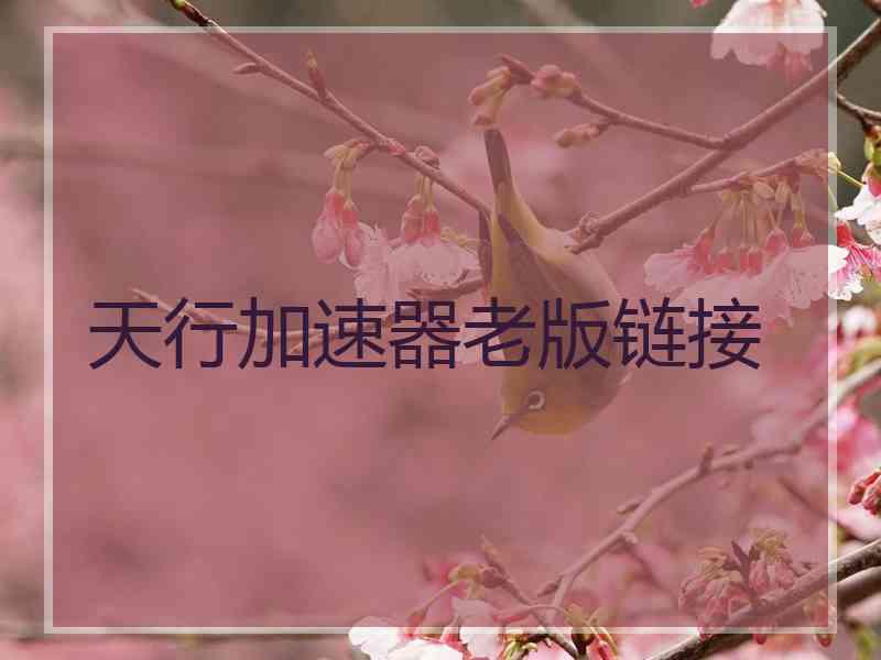 天行加速器老版链接