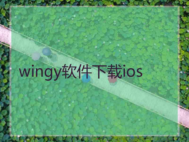 wingy软件下载ios