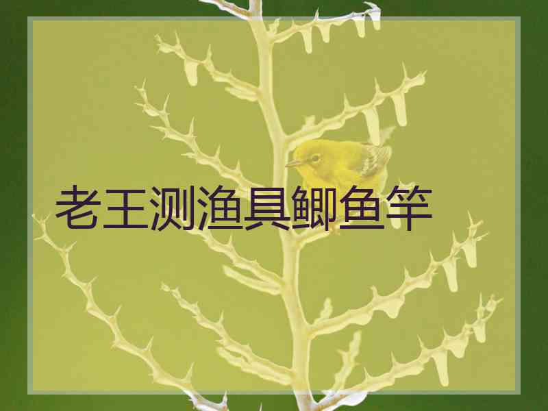 老王测渔具鲫鱼竿