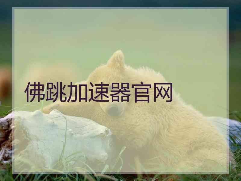 佛跳加速器官网