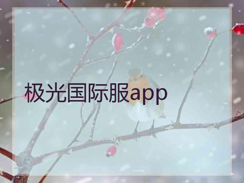 极光国际服app