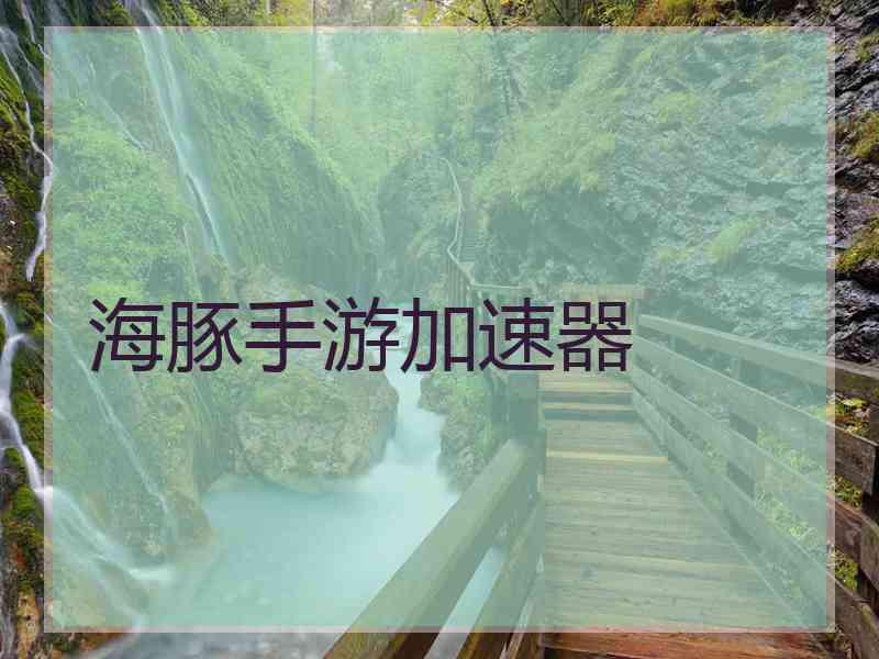 海豚手游加速器