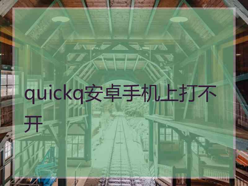 quickq安卓手机上打不开