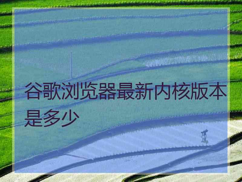 谷歌浏览器最新内核版本是多少