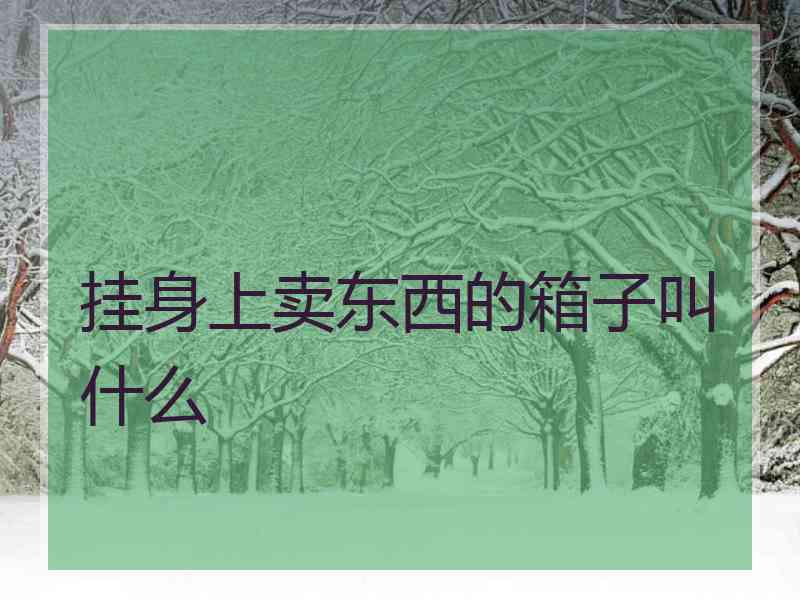 挂身上卖东西的箱子叫什么
