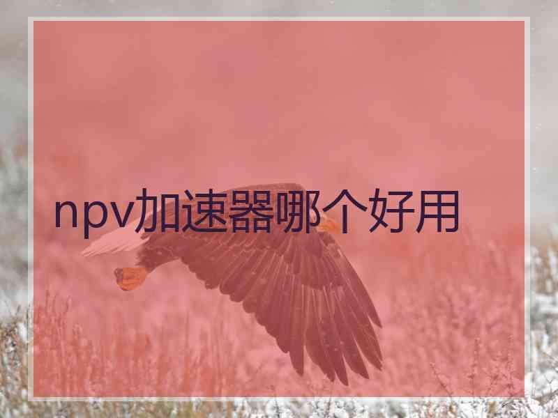npv加速器哪个好用