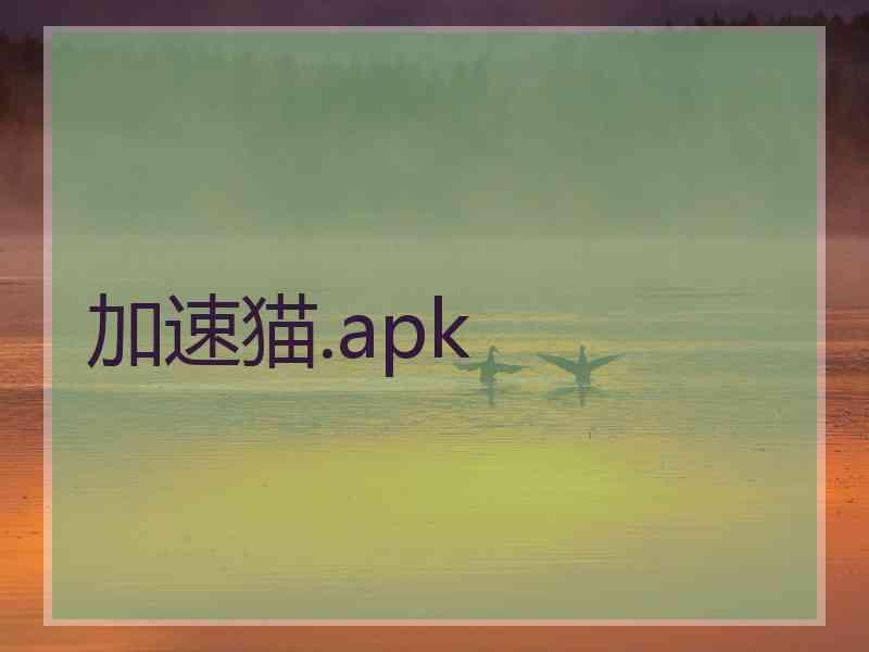 加速猫.apk