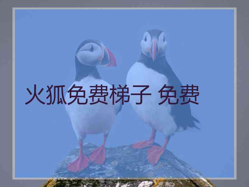 火狐免费梯子 免费