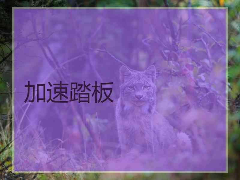 加速踏板