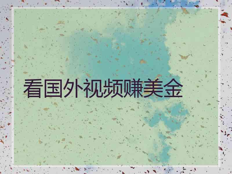 看国外视频赚美金
