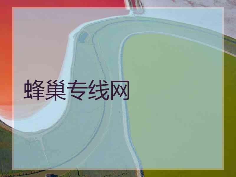 蜂巢专线网