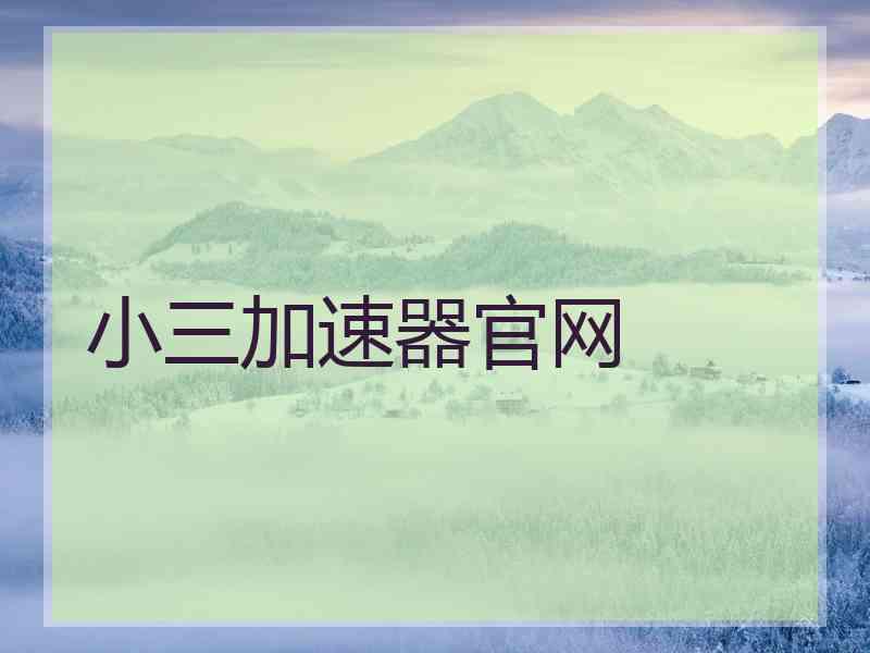 小三加速器官网