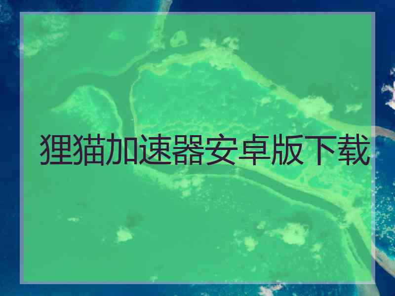 狸猫加速器安卓版下载