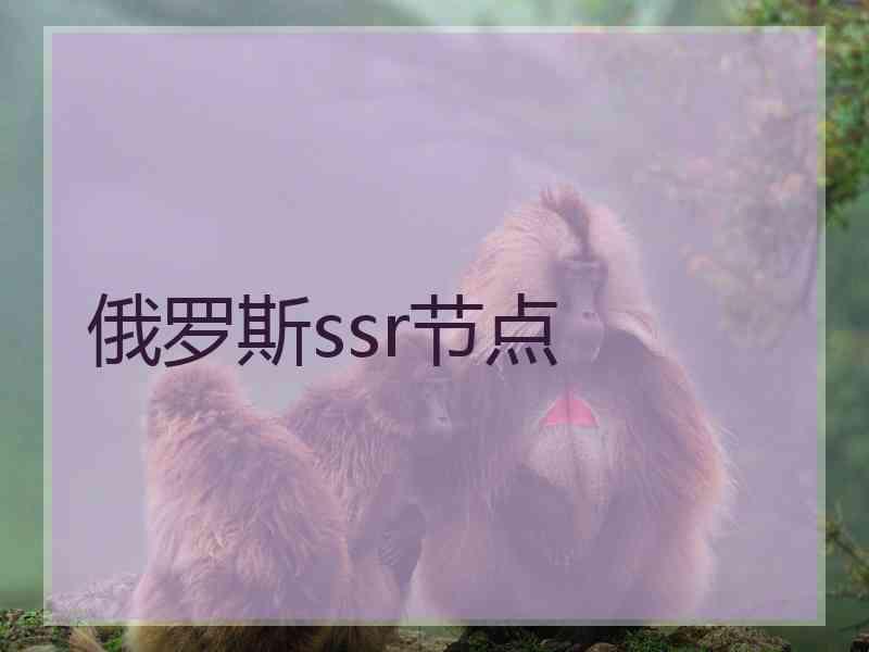 俄罗斯ssr节点