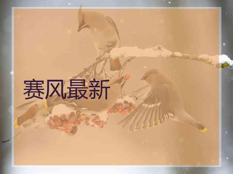 赛风最新