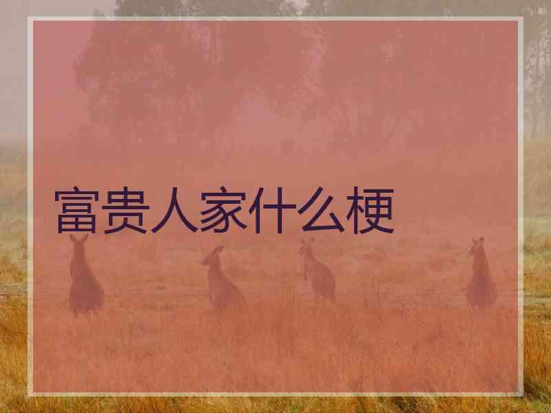 富贵人家什么梗