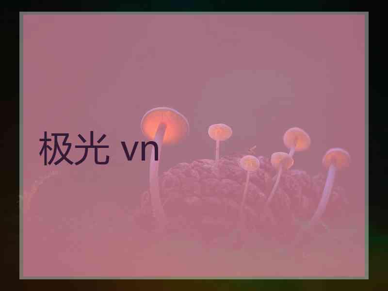 极光 vn
