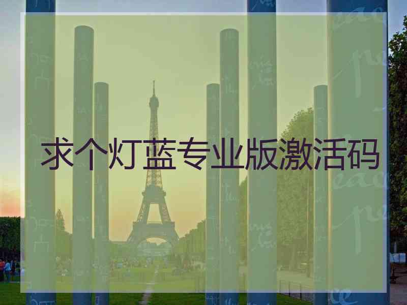 求个灯蓝专业版激活码