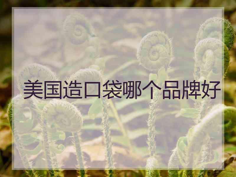 美国造口袋哪个品牌好