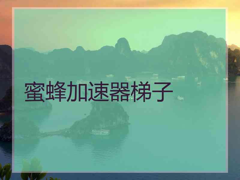 蜜蜂加速器梯子