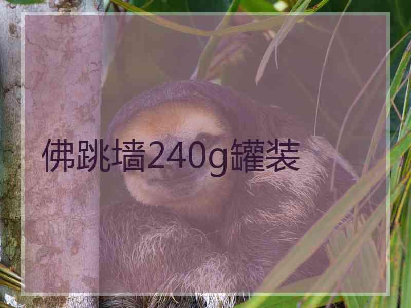 佛跳墙240g罐装