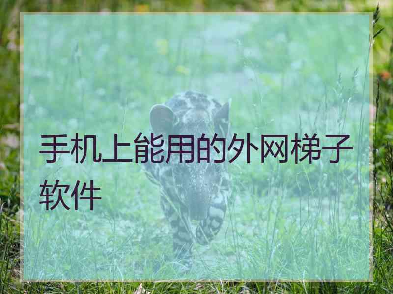 手机上能用的外网梯子软件