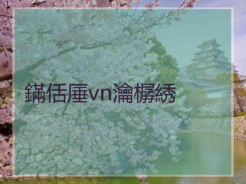 鏋佸厜vn瀹樼綉