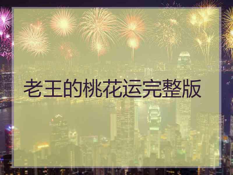 老王的桃花运完整版