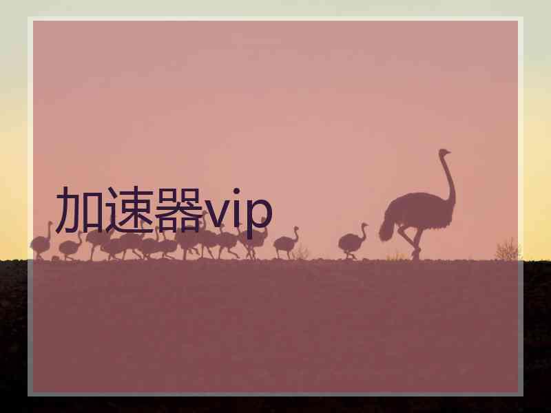 加速器vip