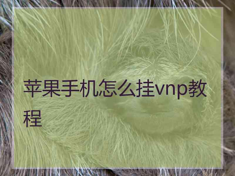 苹果手机怎么挂vnp教程