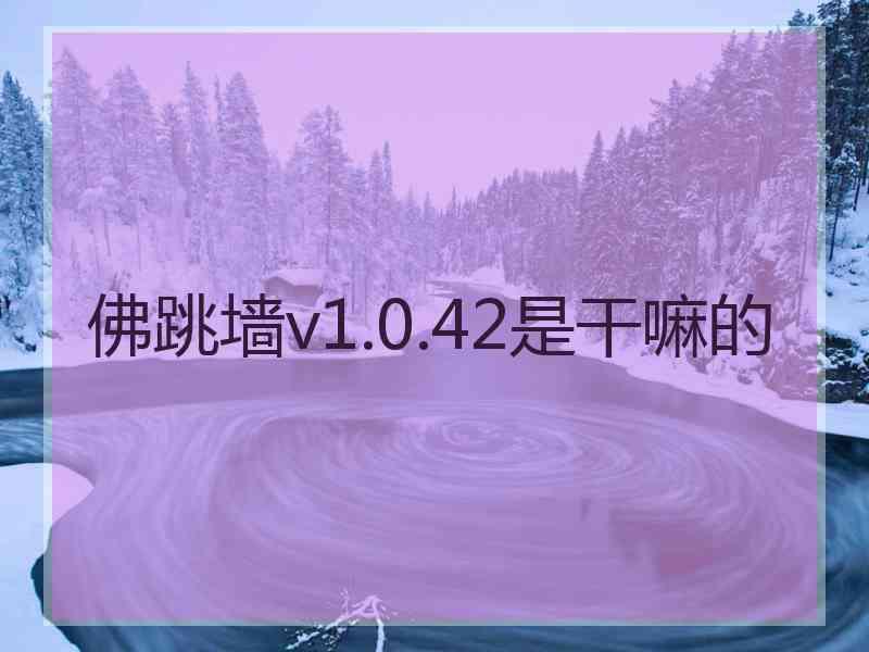 佛跳墙v1.0.42是干嘛的