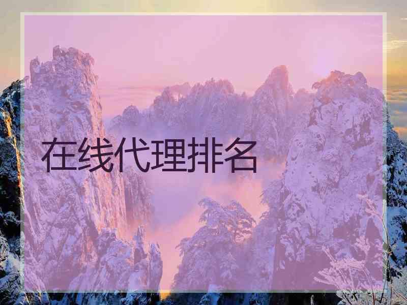 在线代理排名