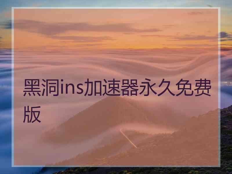 黑洞ins加速器永久免费版