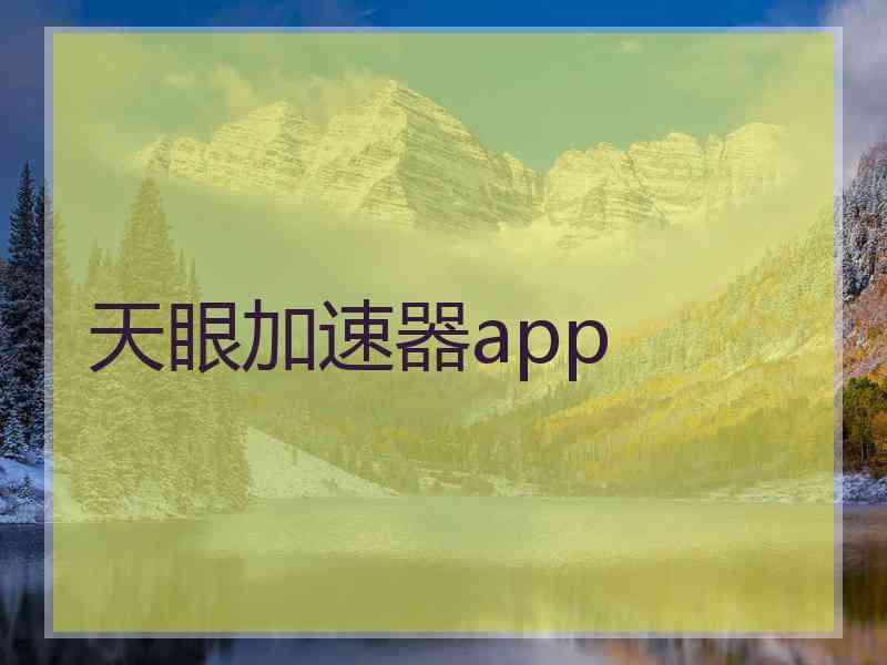 天眼加速器app