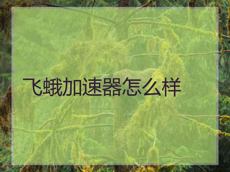 飞蛾加速器怎么样