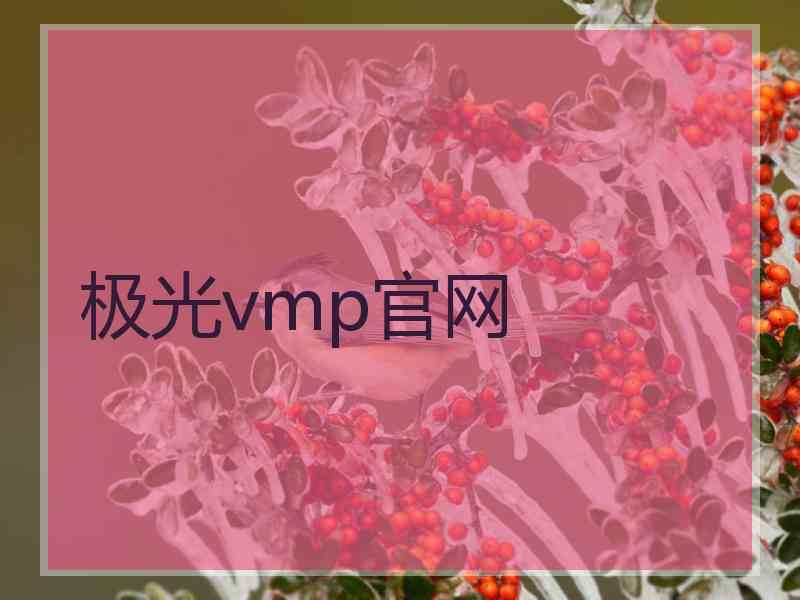 极光vmp官网
