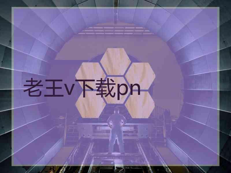 老王v下载pn