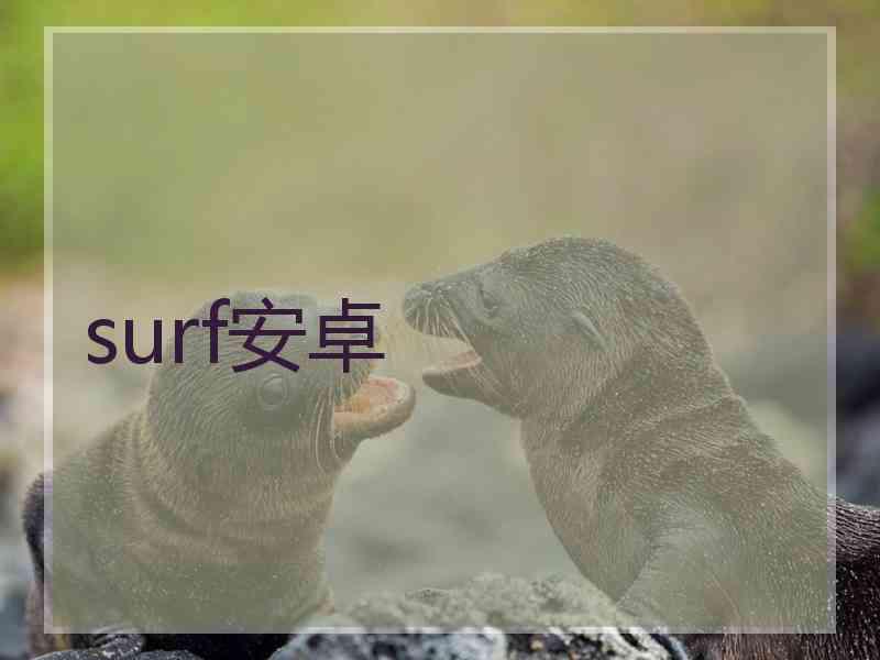 surf安卓