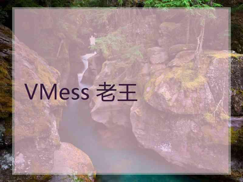 VMess 老王