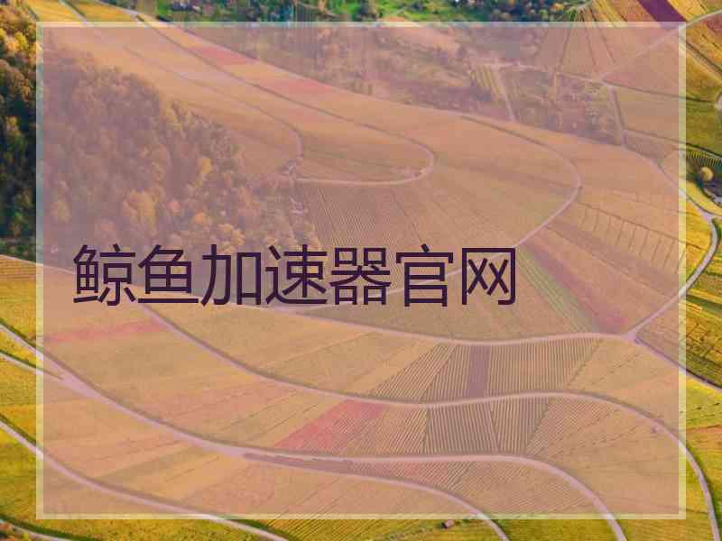 鲸鱼加速器官网