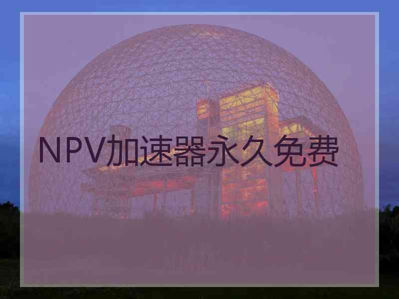 NPV加速器永久免费