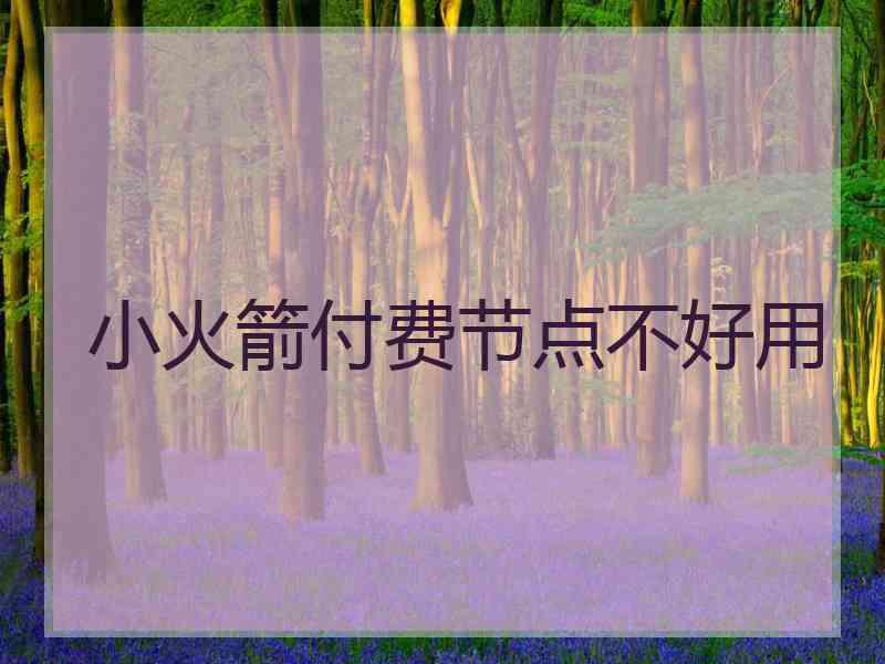 小火箭付费节点不好用