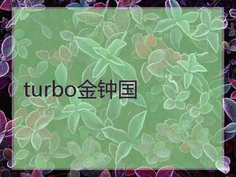 turbo金钟国