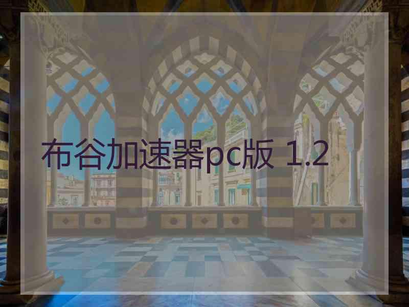 布谷加速器pc版 1.2