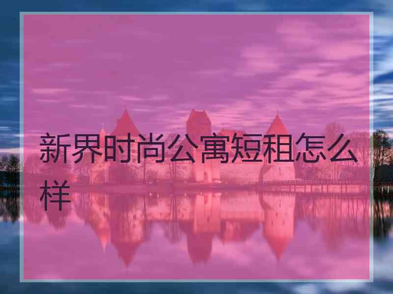 新界时尚公寓短租怎么样