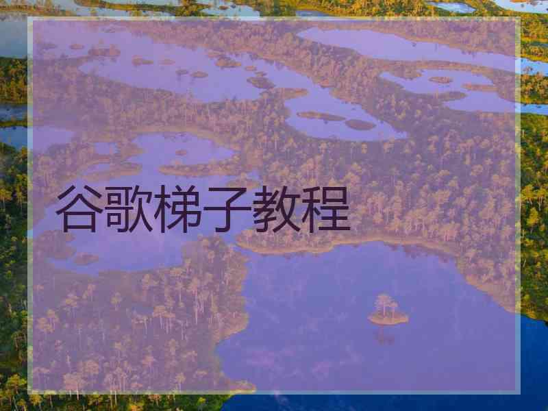 谷歌梯子教程