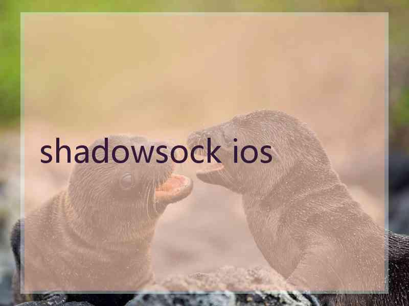 shadowsock ios