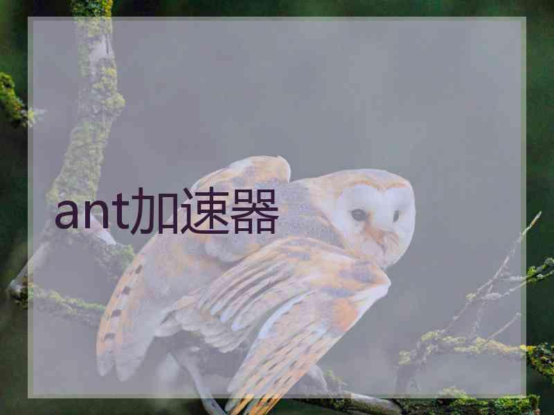 ant加速器