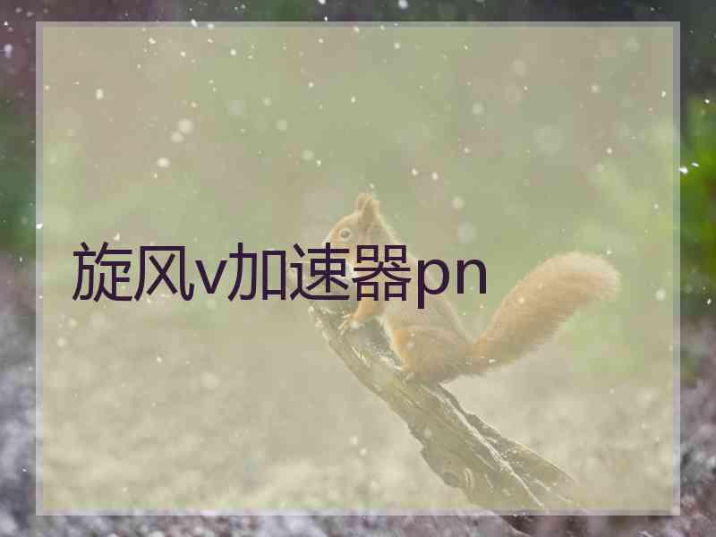 旋风v加速器pn